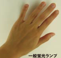 一般蛍光ランプ