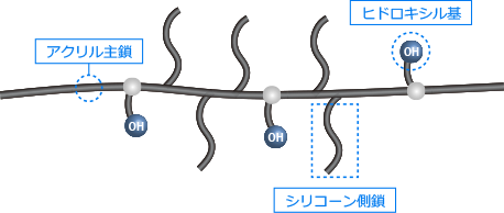 8BS構造図