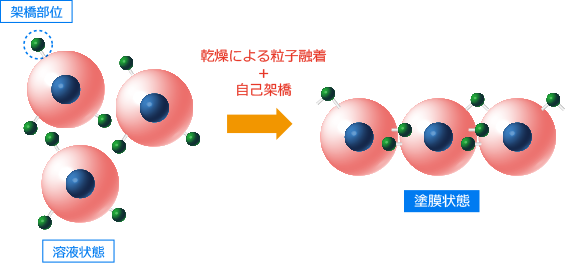 塗膜形成模式図
